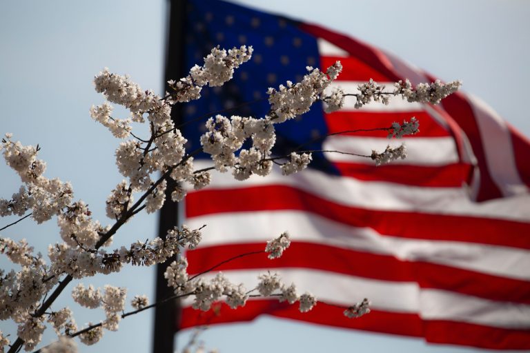 Improved U.S. Approval: STS Appoints New Sportsbook Leader