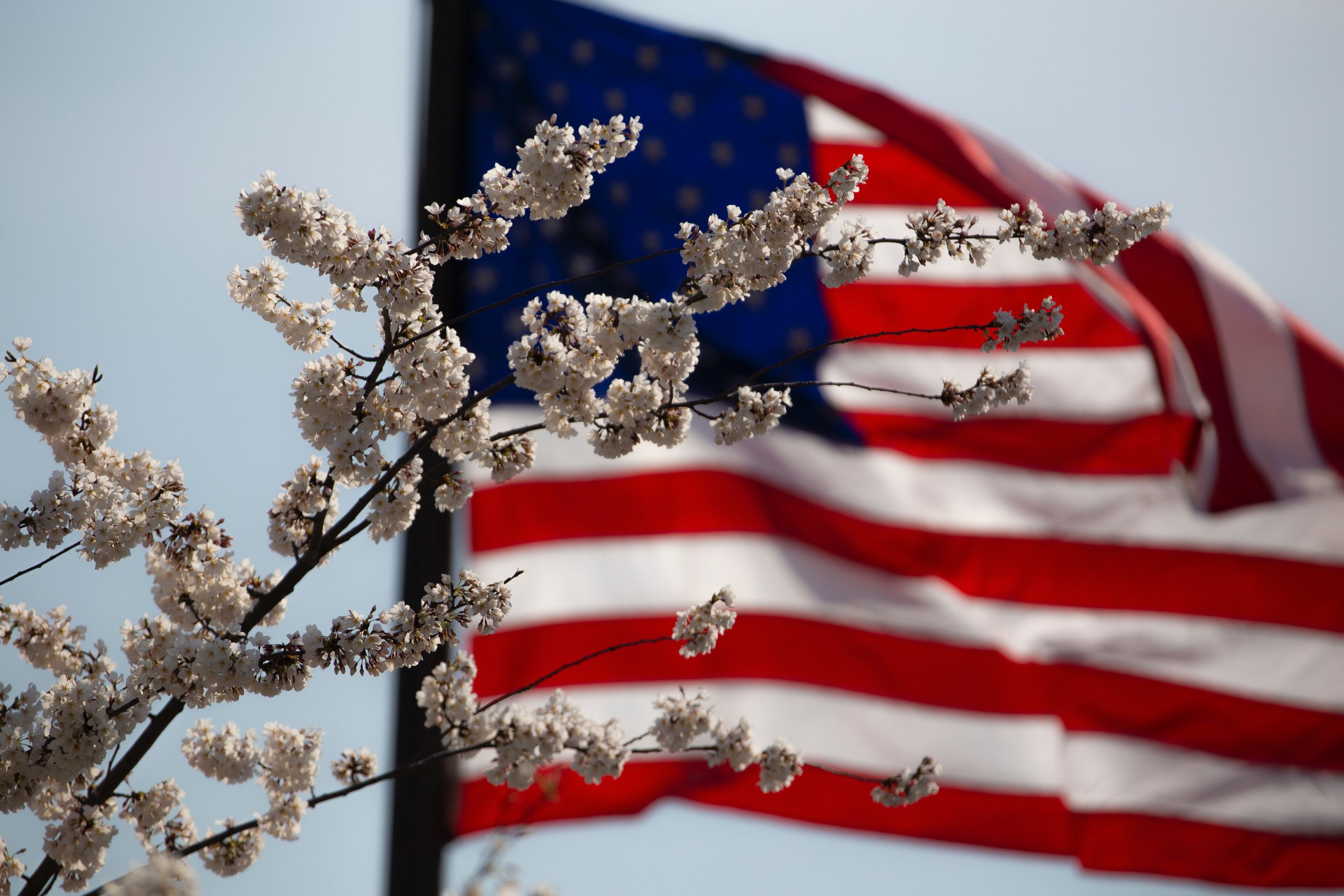 Improved U.S. Approval: STS Appoints New Sportsbook Leader