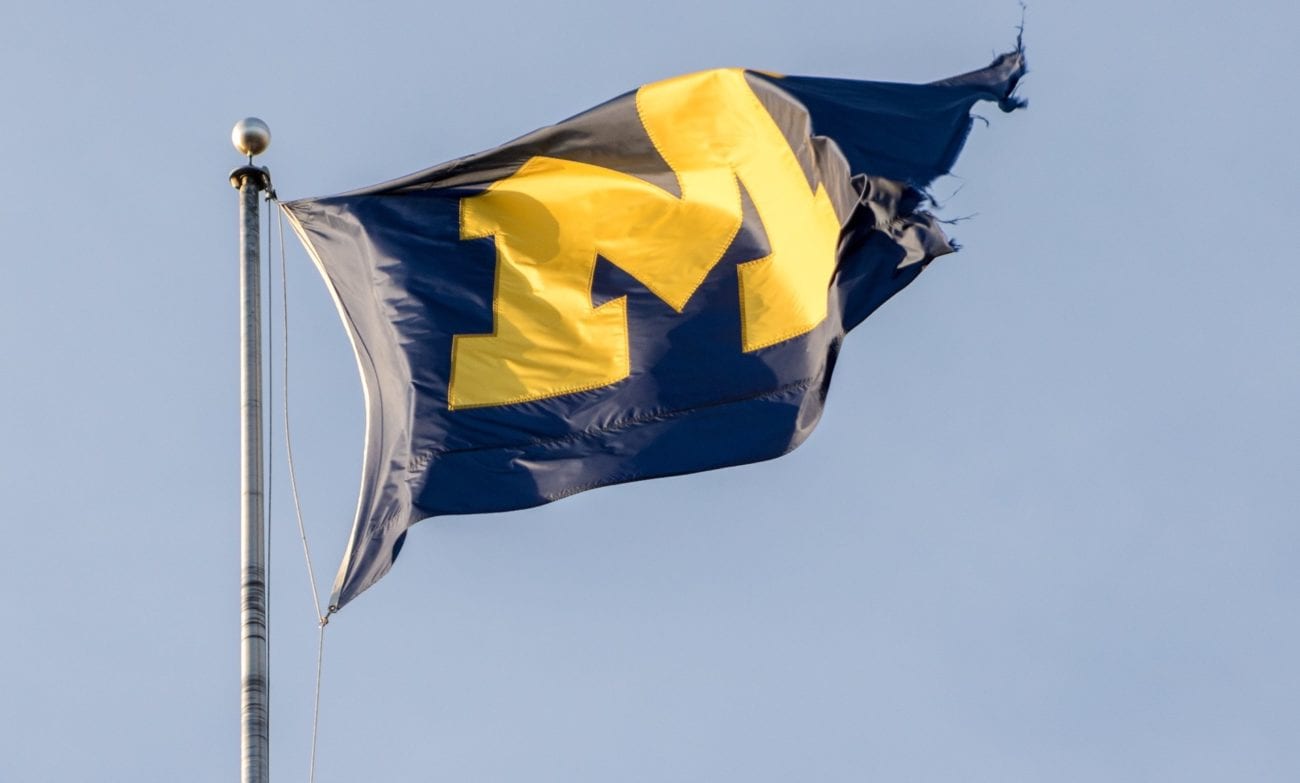 Michigan Regulator Targets Additional Illegal Gambling Websites
