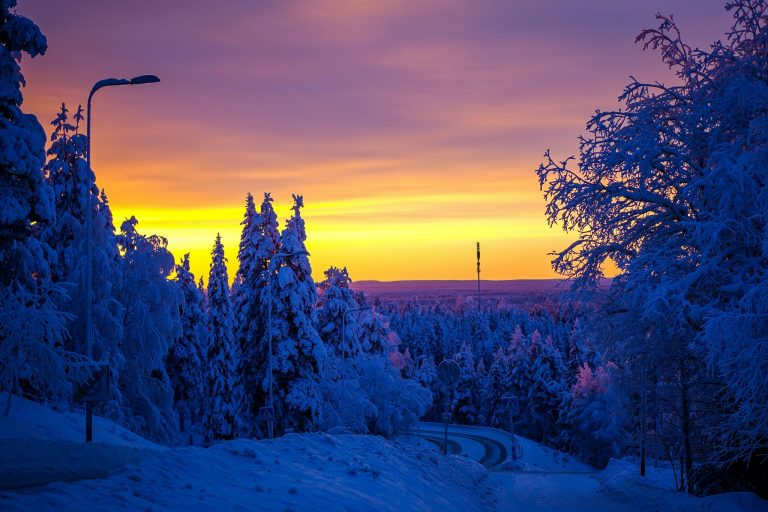 Was Sweden the Ideal Market Model for Finland to Emulate?