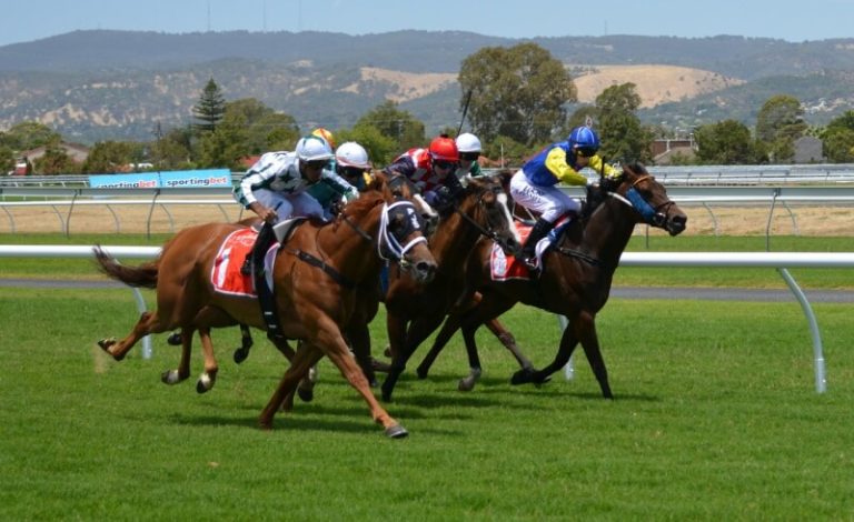 HBLB Appoints Former William Hill CEO Roger Devlin as Chairman