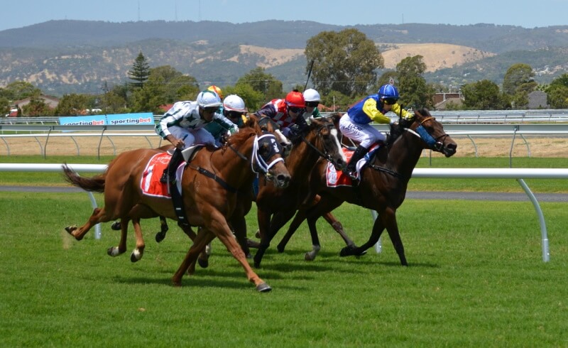 HBLB Appoints Former William Hill CEO Roger Devlin as Chairman