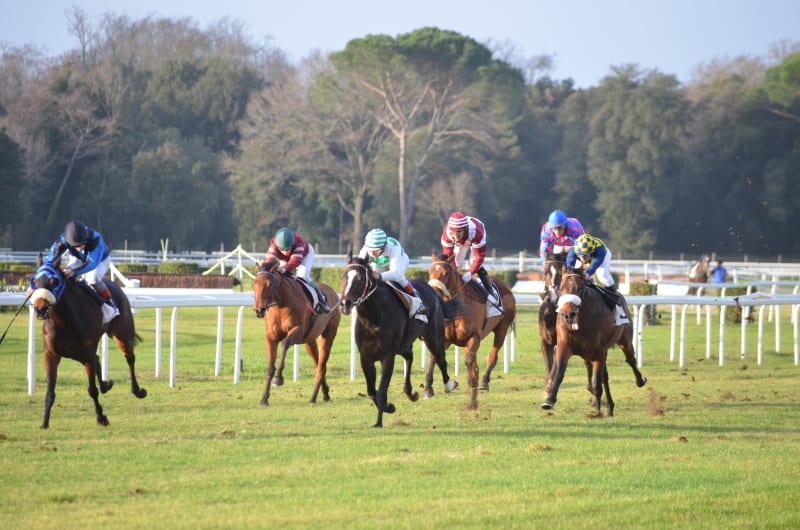 BHA Advocates for Distinct Tax on Horse Racing Wagers – Regulation