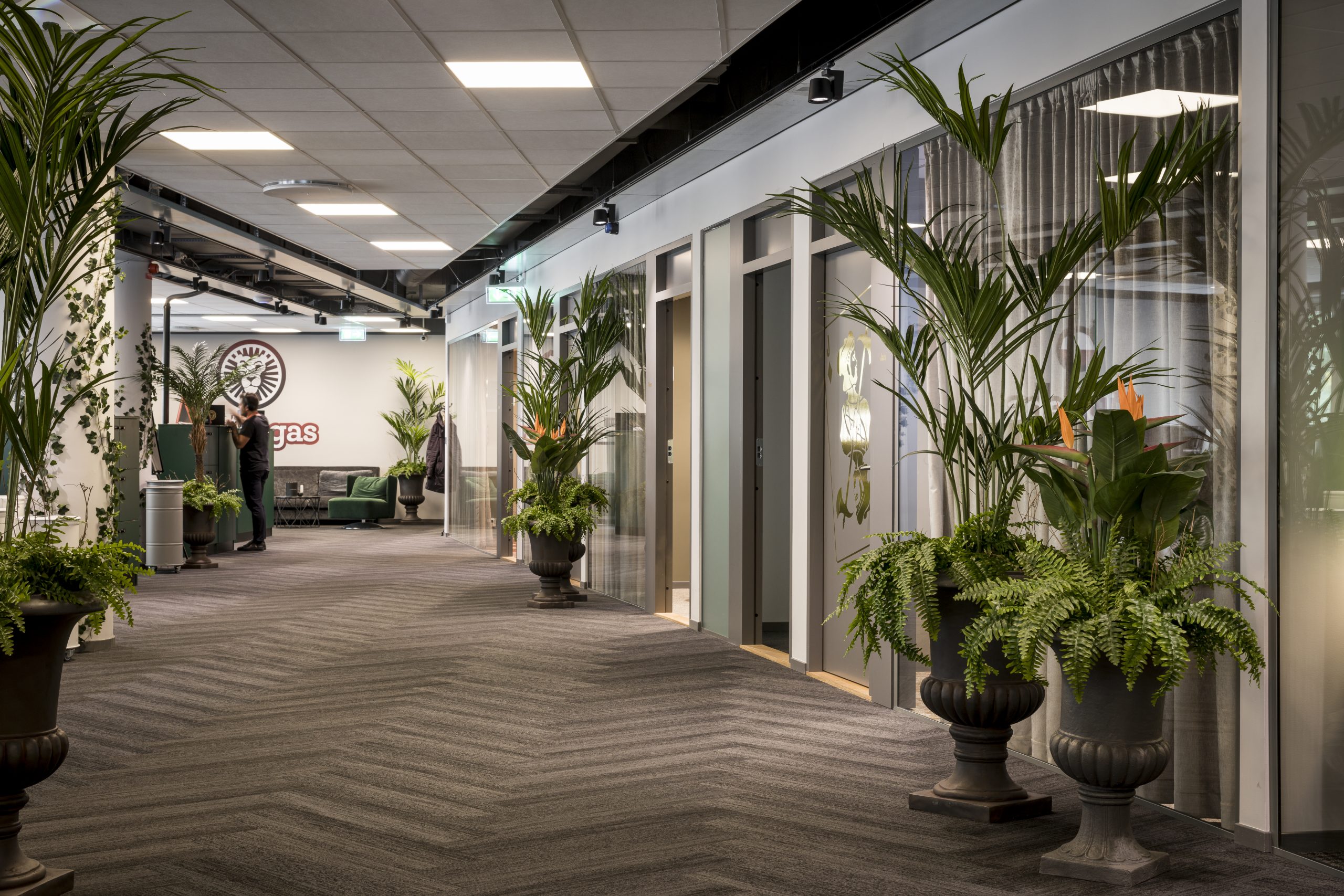 LeoVegas Introduces In-House Sportsbook in Denmark